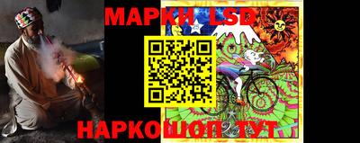 гидра Бердск
